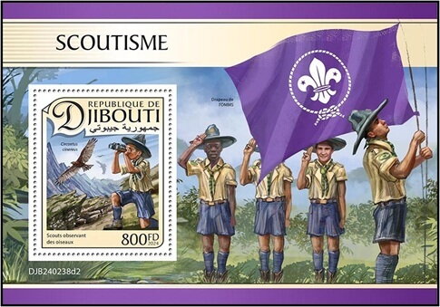 Scouting
