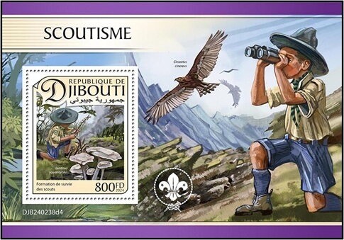 Scouting
