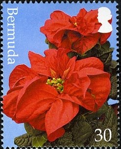 Stamp, Bract colour: Red, Bermuda,  , Flowers, Plants (Flora)