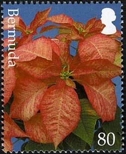 Stamp, Bract colour: Mottled, Bermuda,  , Flowers