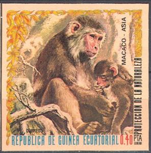 Stamp, Macaque sp. (Macaca sp.), Equatorial Guinea,  , Animals (Fauna), Infant Animals, Mammals, Monkeys