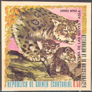 Stamp, Snow Leopard (Panthera uncia), Equatorial Guinea,  , Animals (Fauna), Infant Animals, Leopards, Mammals, Wild Cats