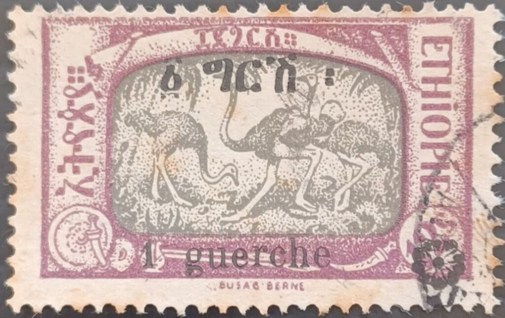 Common Ostrich (Struthio camelus) surcharged