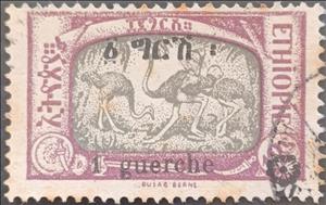 Stamp, Common Ostrich (Struthio camelus) surcharged, Ethiopia,  , Animals (Fauna), Birds, Ostriches