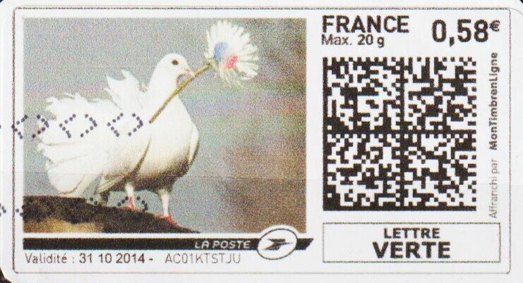 Fantail Pigeon