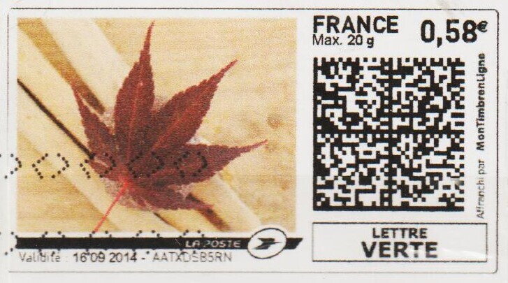 Maple Leaf 2