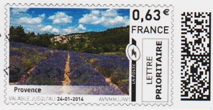 Provence Lavender Field