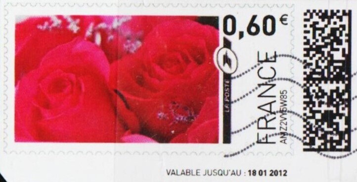 Red Roses