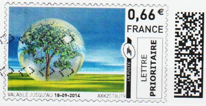Tree in a Bubble