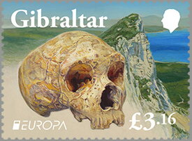 Neanderthal Skull