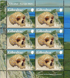 Neanderthal Skull