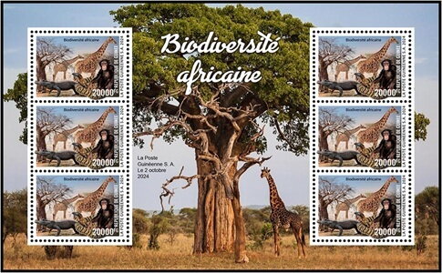 African Biodiversity