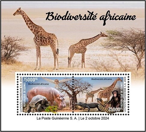 African Biodiversity