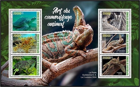 Art of Animal Camouflage