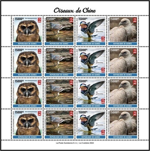 Birds of China