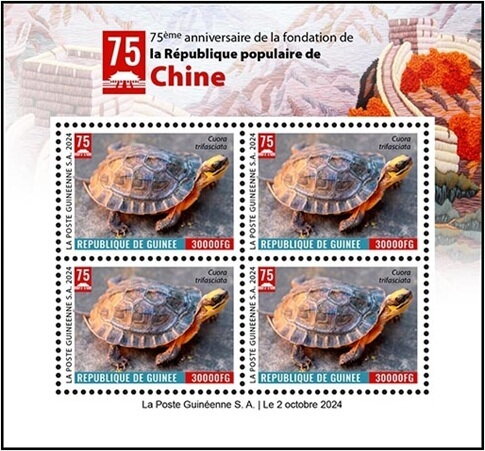 Golden Coin Turtle (Cuora trifasciata)