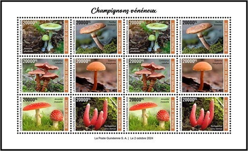 Full Pane, Poisonous Mushrooms, Guinea,  , Mushrooms, Plants (Flora)