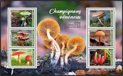 Mini Sheet, Poisonous Mushrooms, Guinea,  , Mushrooms, Plants (Flora)