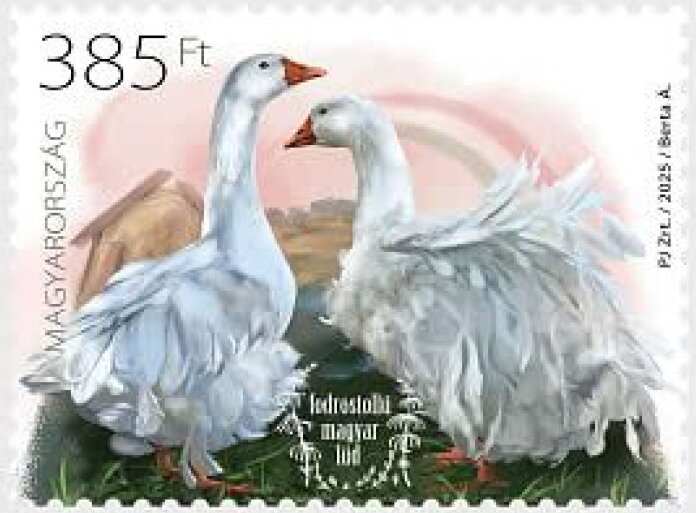Frizzle-Feathered Hungarian Goose