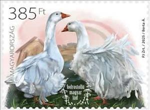 Stamp, Frizzle-Feathered Hungarian Goose, Hungary,  , Geese, Poultry