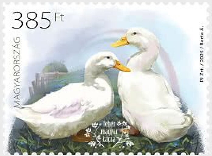 Hungarian Duck