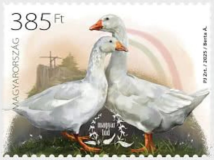 Hungarian Goose