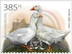 Stamp, Hungarian Goose, Hungary,  , Geese, Poultry