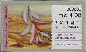 Stamp, Moringa peregrina, Israel,  , Flowers