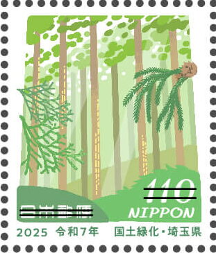 Image of cypress, cedar, and forest