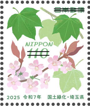 Itaya maple, Yamazakura