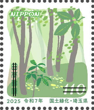 Quercus, forest image
