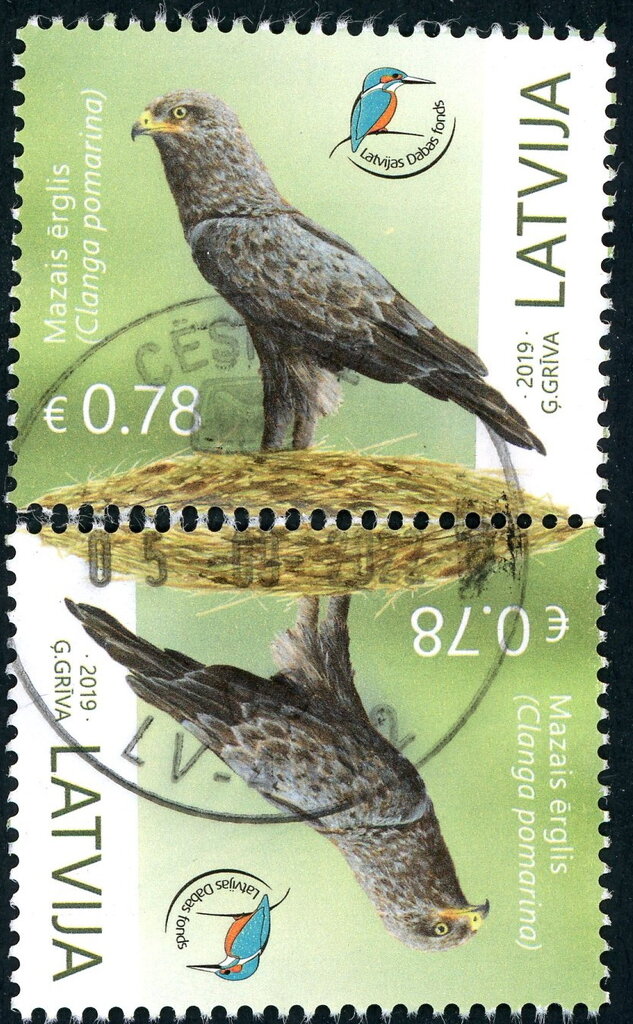 Fund for Nature - Lesser Spotted Eagle (Clanga pomarina)