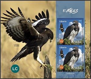 Souvenir Sheet, Eagles (Polemaetus bellicosus), Liberia,  , Birds of Prey, Eagles