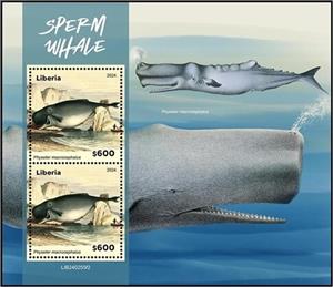 Souvenir Sheet, Sperm Whale (Physeter macrocephalus), Liberia,  , Sea Life, Whales