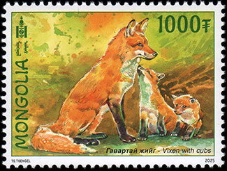 Red Fox (Vulpes vulpes)