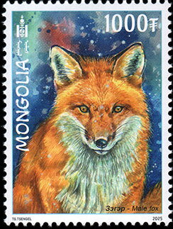 Red Fox (Vulpes vulpes)