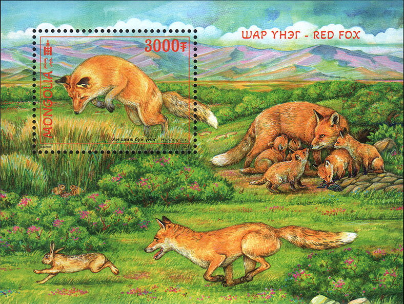 Red Fox (Vulpes vulpes)