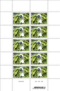 Stamp, Red-Footed Booby (Sula sula), New Caledonia,  , Birds