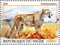 Acinonyx jubatus