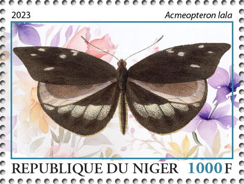 Acmeopteron lala