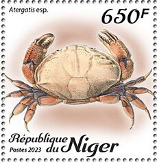 Stamp, Atergatis esp., Niger,  , Animals (Fauna), Crustaceans, Sea Life