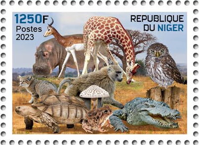 Biodiversity of Niger