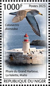 Calonectris diomedea, Grand Harbor Lighthouse, Valletta, Mal