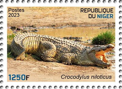 Crocodylus niloticus