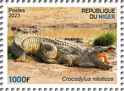 Crocodylus niloticus