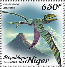Dimorphodon macronyx