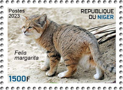 Felis margarita