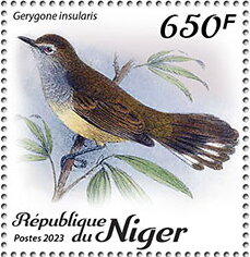 Gerygone insularis