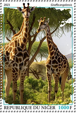 Giraffa angolensis