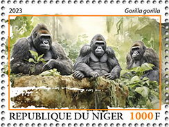 Gorilla gorilla